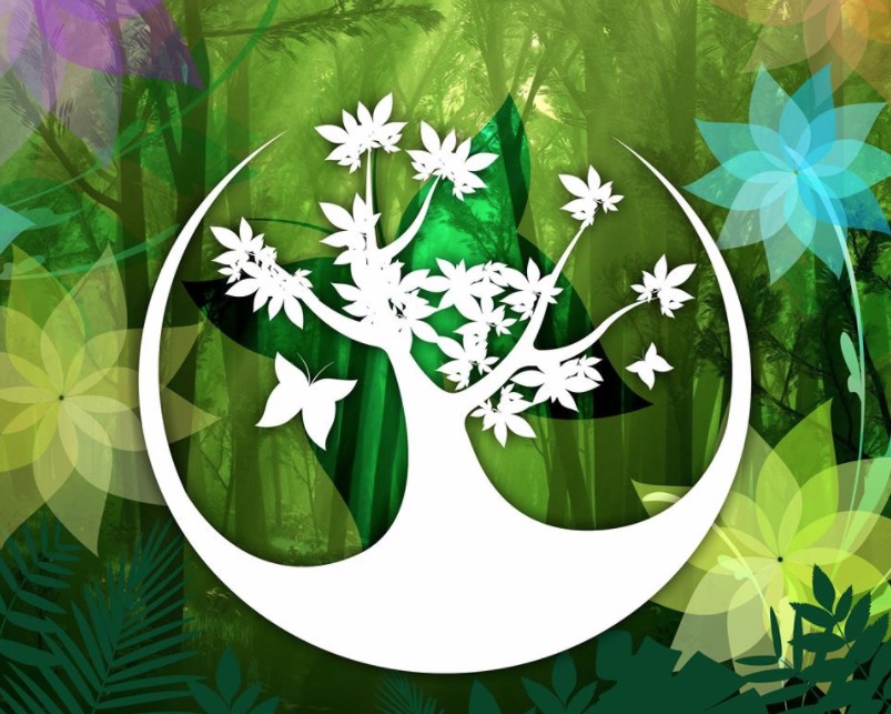 'Floresta Encantada' comemora 10 anos com festa temática