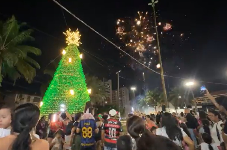 Árvore de Natal viva é inaugurada no CSU do Parque 10