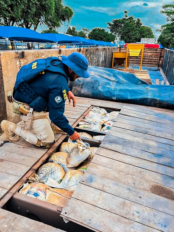 Polícia Federal apreende 8 toneladas de minério ilegal na BR-174