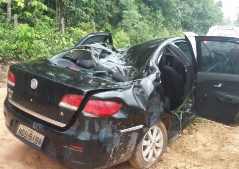 No Amazonas, árvore tomba sobre carro e mata motorista