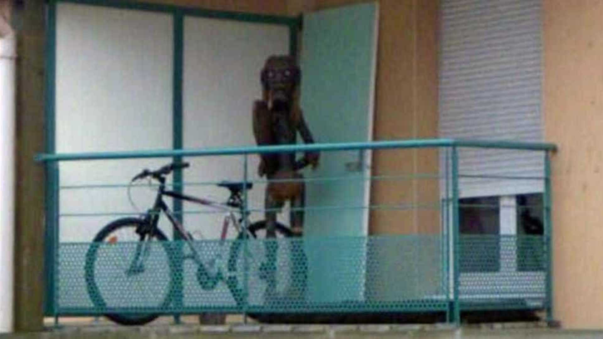 Google Maps retira do ar imagem de criatura bizarra que apareceu em varanda 