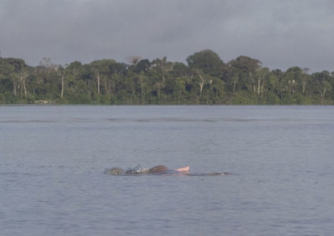 Barco afunda com professores a bordo e deixa um desaparecido no Amazonas