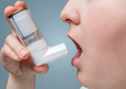 Espécie de cebola pode ser usada para tratar tosses e asma. Conheça 