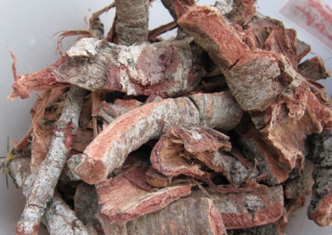 Chá de folhas e cascas de fruteira podem combate inflamações vaginais. Conheça 