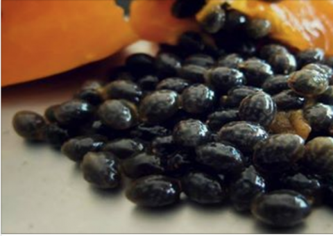 Como comer sementes de mamão para desintoxicar fígado, rins e aparelho digestivo