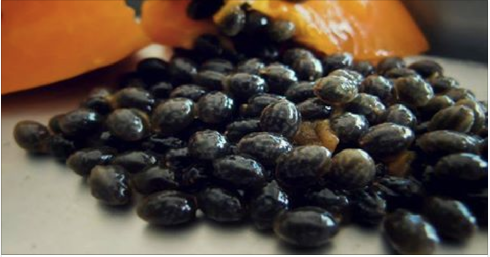 Como comer sementes de mamão para desintoxicar fígado, rins e aparelho digestivo