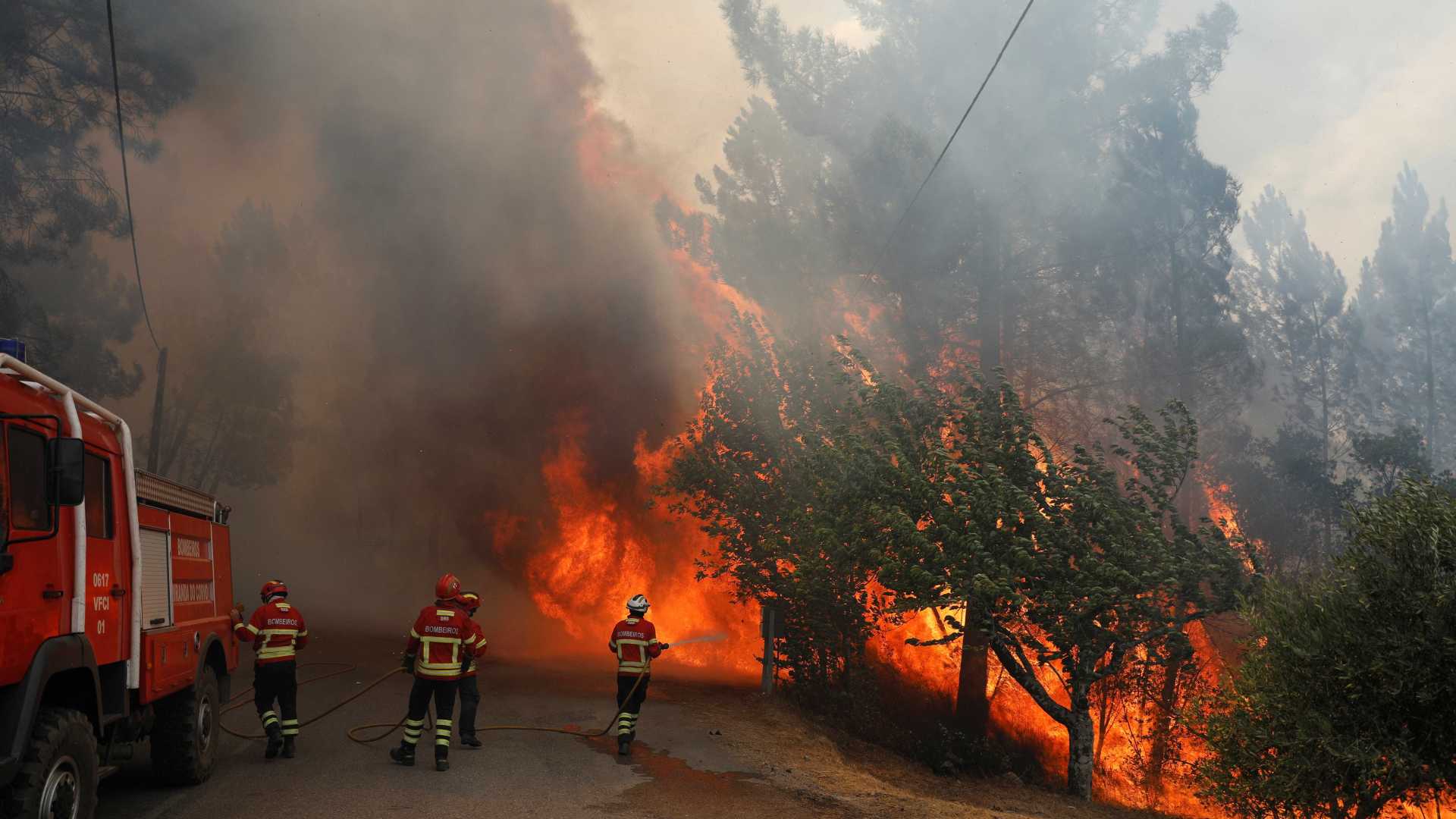 Incêndios florestais deixam vários mortos e feridos