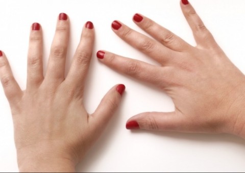 Chamado de 'remédio de mãe', vegetal pode tratar pressão arterial e artrite