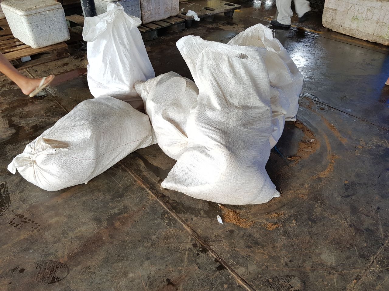 Polícia apreende 1,3 t de pesca ilegal no Porto da Manaus Moderna