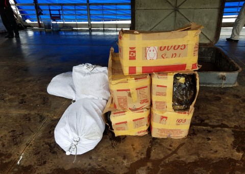 Homem é preso em flagrante com pesca ilegal e carga é doada para instituições em Manaus