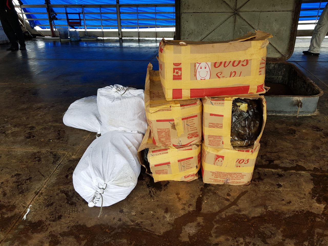 Homem é preso em flagrante com pesca ilegal e carga é doada para instituições em Manaus