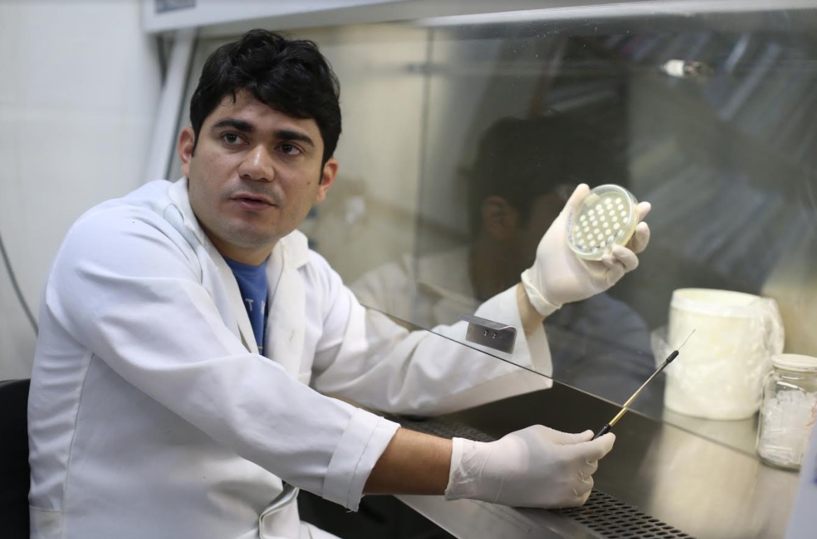 Pesquisa produz hormônio de crescimento do tambaqui para acelerar crescimento de peixes 