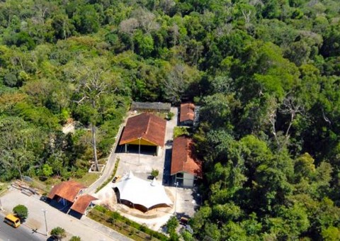 Trio é preso suspeito de tentar executar homem em reserva florestal de Manaus