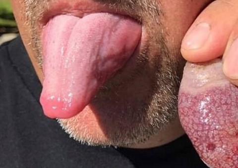 Criatura misteriosa é encontrada em praia e causa furor na internet