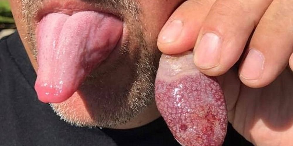 Criatura misteriosa é encontrada em praia e causa furor na internet