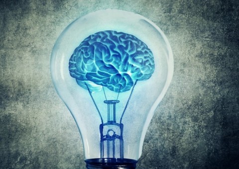 Consumo de fruta rica em flavonoides é indicado para a saúde do cérebro 