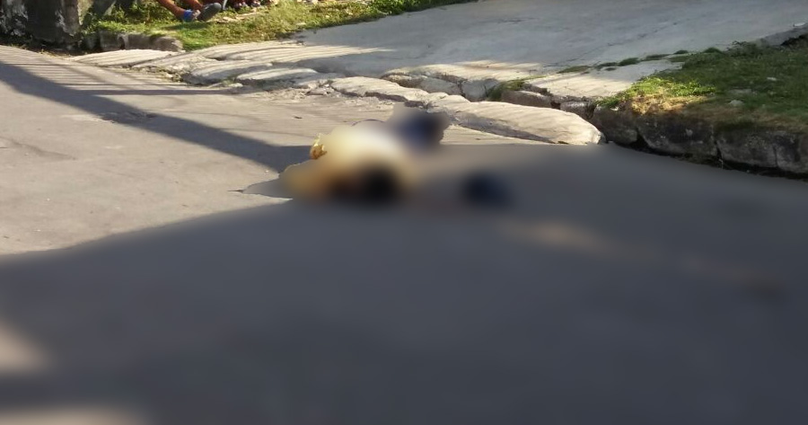 Suspeito de fazer arrastões é morto a pauladas em Manaus