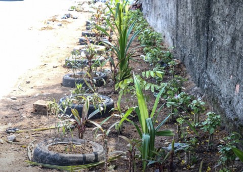 Lixeiras viciadas dão lugar a jardins em Manaus 