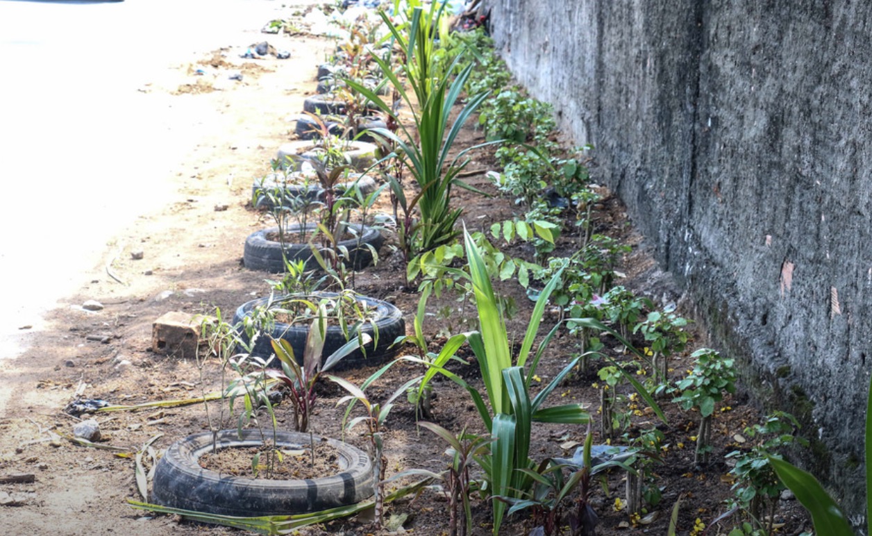 Lixeiras viciadas dão lugar a jardins em Manaus 