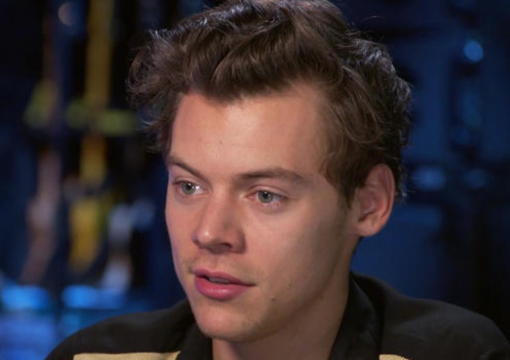 Fã agarra pênis de Harry Styles durante show e causa revolta na internet  