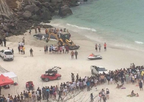 Baleia jubarte encalha em praia de Arraial do Cabo e atrai multidão de curiosos 