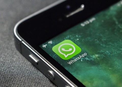  Saiba como ler mensagens no WhatsApp sem revelar que está online