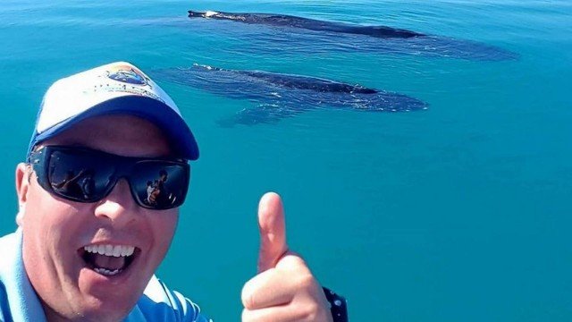 Mergulhador é perseguido e quase devorado por tubarão na Austrália