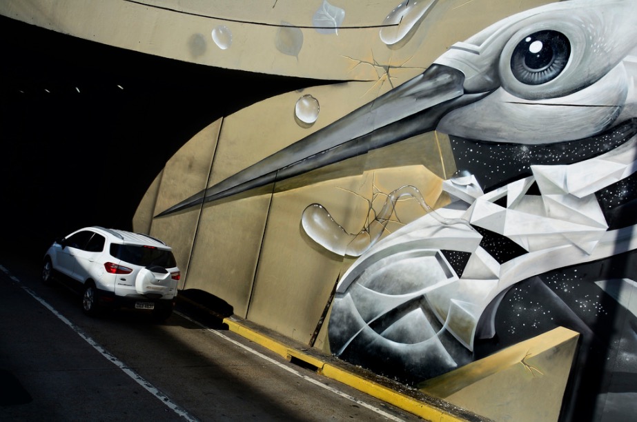  Grafiteiro do Amazonas representa o Brasil em evento internacional