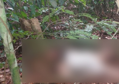 Com marcas de estupro, corpo de mulher é encontrado em mata de Manaus