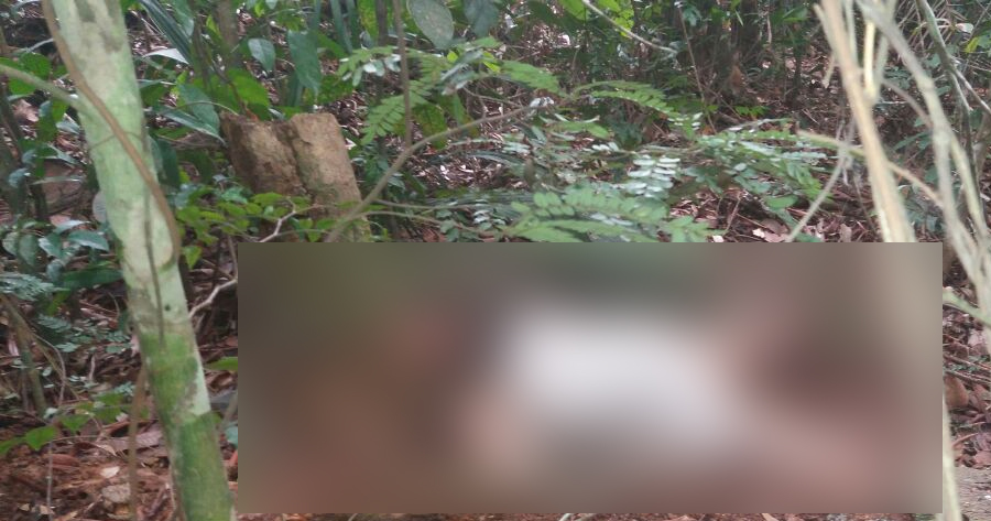 Com marcas de estupro, corpo de mulher é encontrado em mata de Manaus