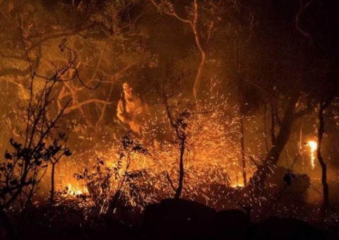 Incêndio já atingiu 22% do Parque Nacional da Chapada dos Veadeiros