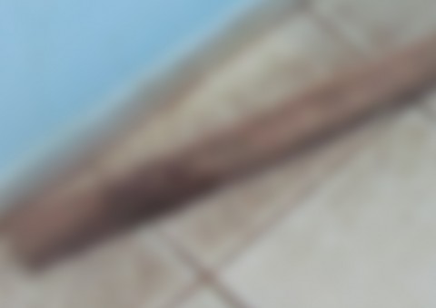 Mulher se mete em briga de irmãos e leva paulada no rosto em Manaus