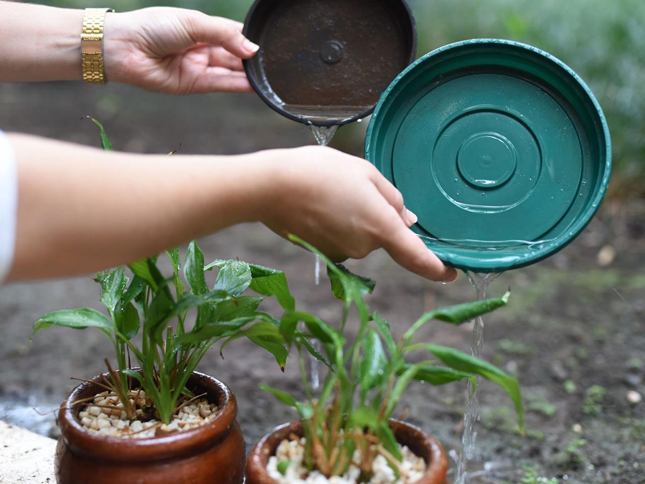 Semsa mobiliza população contra o Aedes e aponta redução nos casos de dengue, zika e chikungunya  