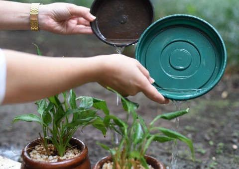 Semsa mobiliza população contra o Aedes e aponta redução nos casos de dengue, zika e chikungunya  