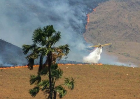 Incêndio na Chapada dos  Veadeiros  é o maior da história do Parque