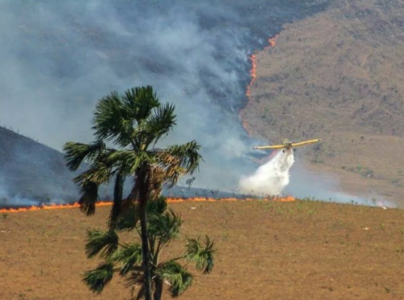 Incêndio na Chapada dos  Veadeiros  é o maior da história do Parque