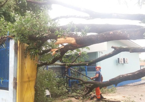 Defesa Civil registra 26 ocorrências durante forte chuva em Manaus