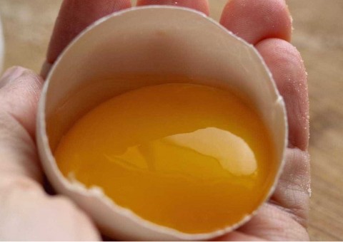 Comer ovo cru não faz mal. Verdade ou Mentira, especialista responde