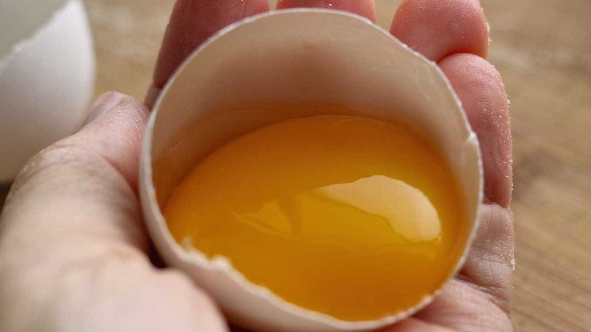 Comer ovo cru não faz mal. Verdade ou Mentira, especialista responde