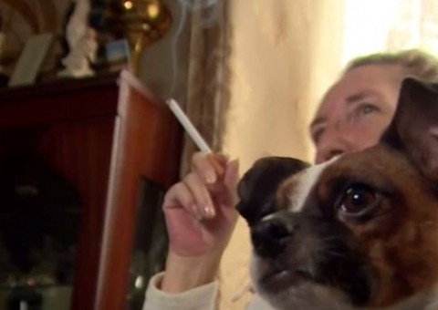 Animais de estimação com donos fumantes podem ter câncer e outras doenças, alerta pesquisa