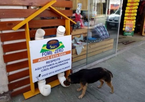 Dono de pet shop cria 'restaurante' gratuito para cães de rua 