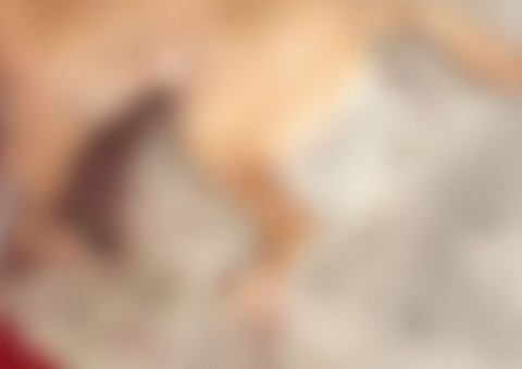 Após briga, homem tenta matar vizinha a terçadadas e acaba degolando cachorra em Manaus