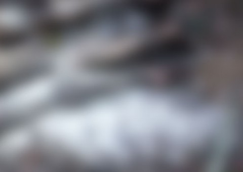 Corpos são encontrados em estado avançado de decomposição em Manaus