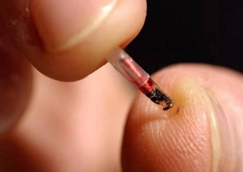 Festival de tecnologia está implantando microchips em vez de usar ingressos