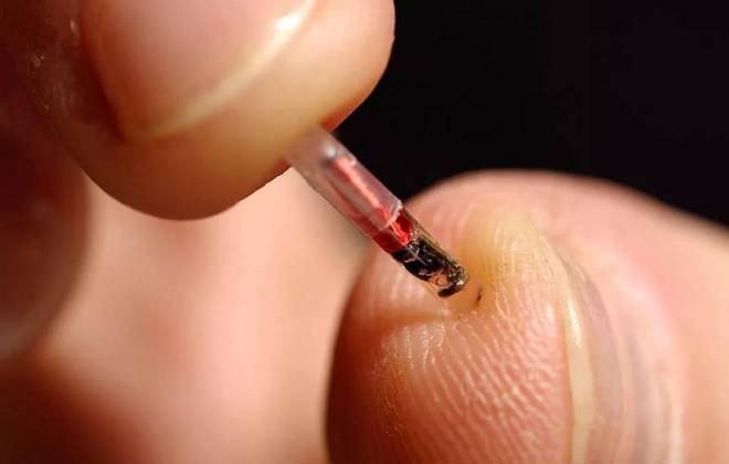 Festival de tecnologia está implantando microchips em vez de usar ingressos