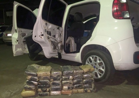 Polícia apreende 31kg de drogas avaliados em R$ 50 mil em porto privado de Manaus