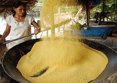 Associação dos produtores rurais de Carauari comercializa farinha na Agroufam