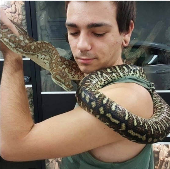 Criador de serpentes é picado por venenosa cobra de estimação