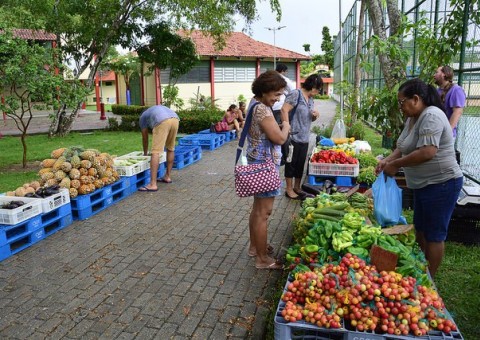 Feirinha dos Bilhares é opção para toda a família neste domingo 