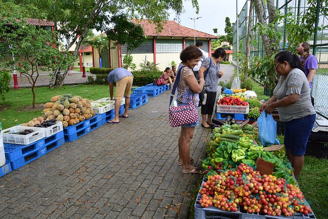 Feirinha dos Bilhares é opção para toda a família neste domingo 